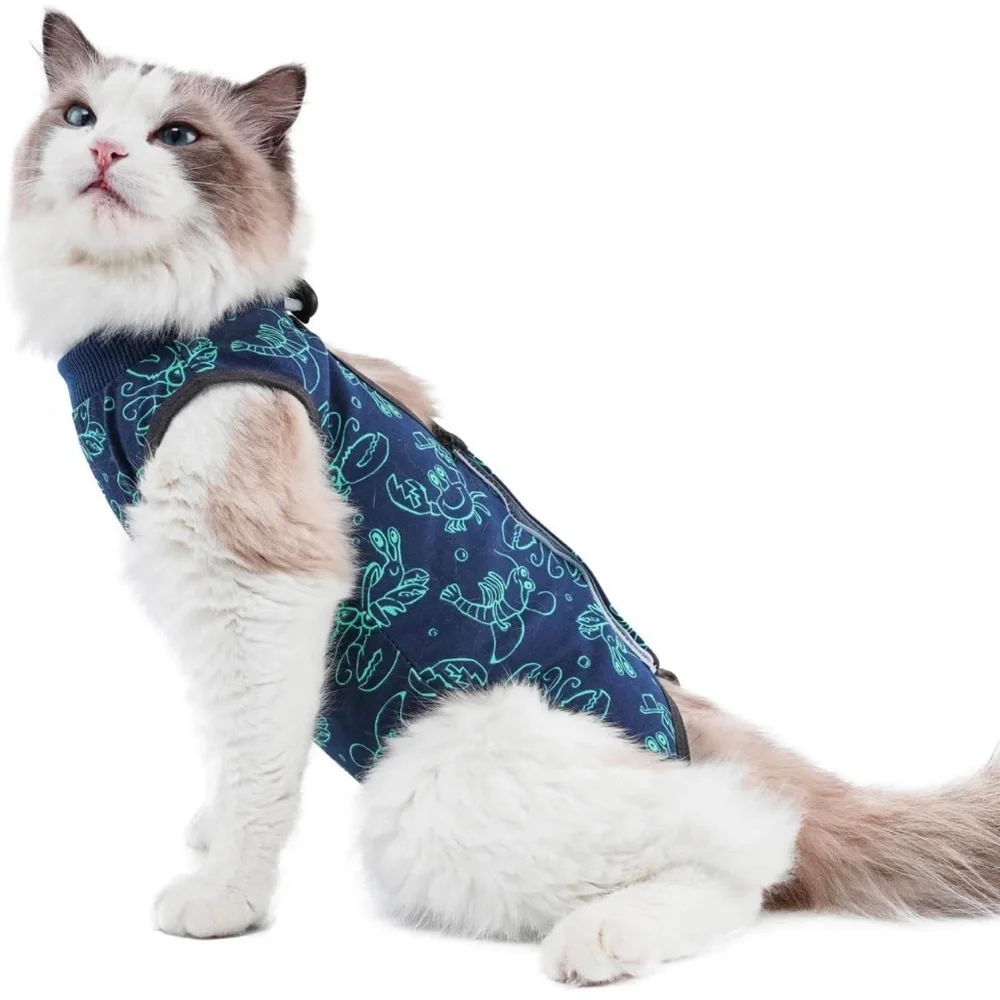 Cat post surgery recovery suit- brand new